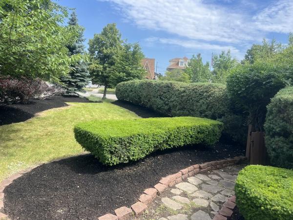 CSA Landscaping & Plowing