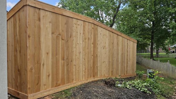 Bluebird Fence