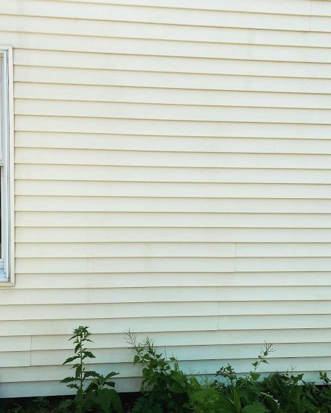 Professional Cleaners Exteriors