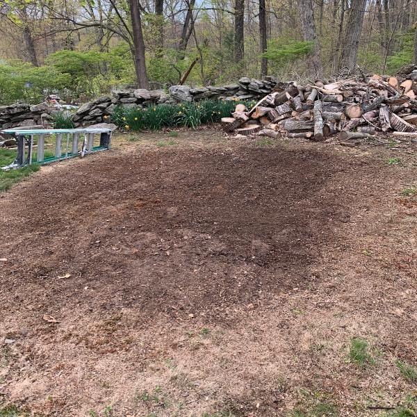 Benny's Dump Runs
