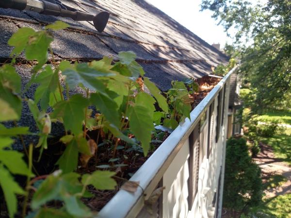 Happy Home Gutter Care