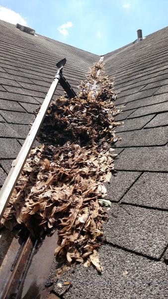 Happy Home Gutter Care