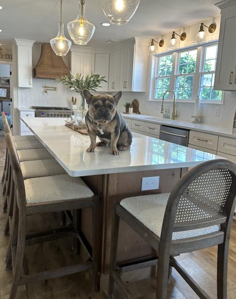 Daniel Robert Remodeling