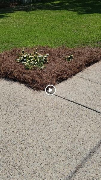 Kingdom Lawn Care LLC