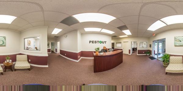 Pestout