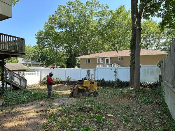 Bernes Tree Service