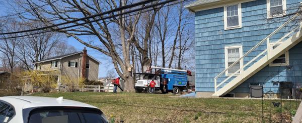 Bernes Tree Service