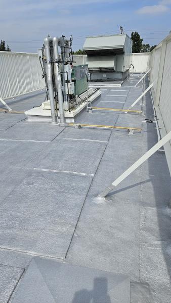 The Roof Doctor