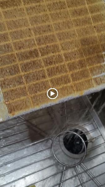 Next Level Pros House Cleaning Service