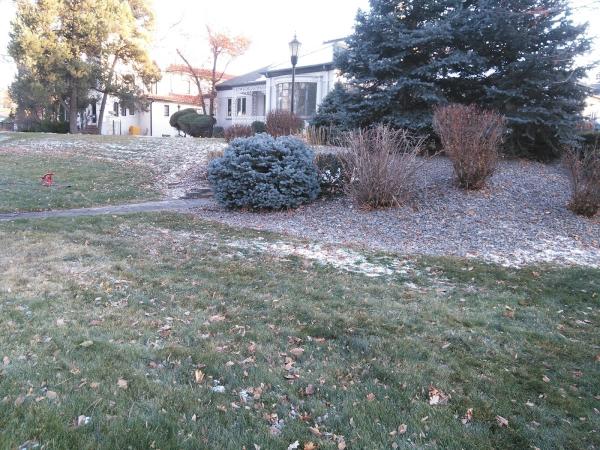 Lawn M.D.