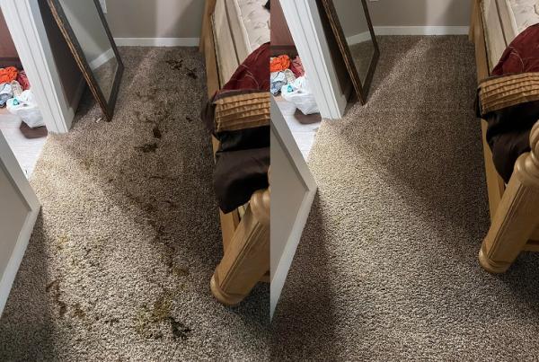 Fowler Carpet & Upholstery Cleaning