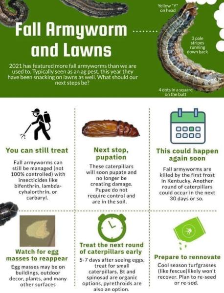 Anchor Up Lawn Care