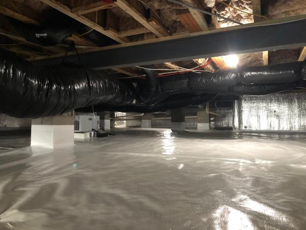Elite Moisture Solutions