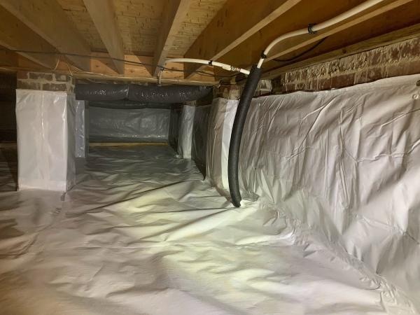 Elite Moisture Solutions