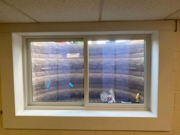 Ezegress Windows