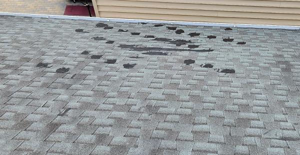 Rames Roof