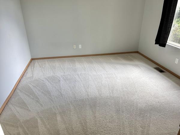 Washington Pro Carpet Cleaning