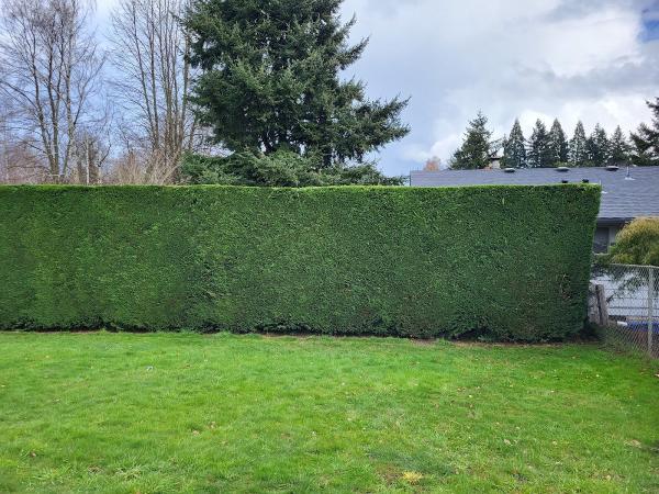 Antonio Urzua Landscape Maintenance