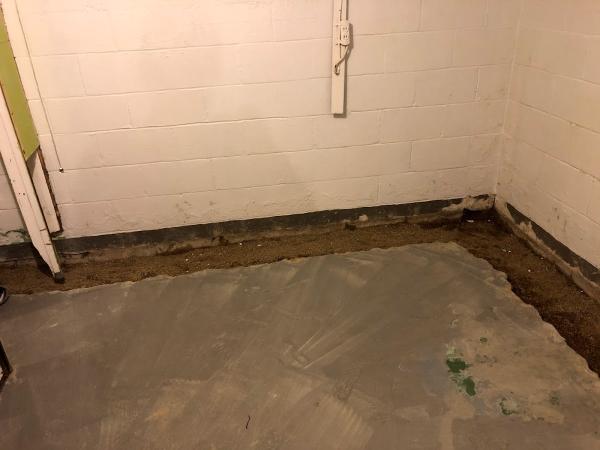Drain Services Inc.