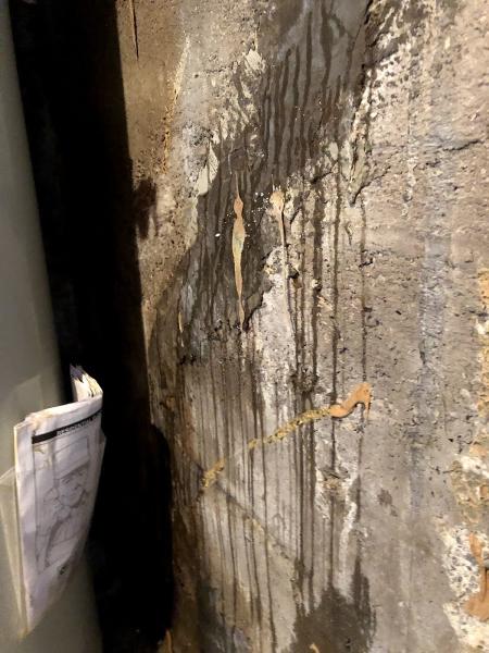 Drain Services Inc.