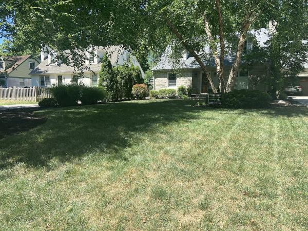 Gold Standard Lawn Care