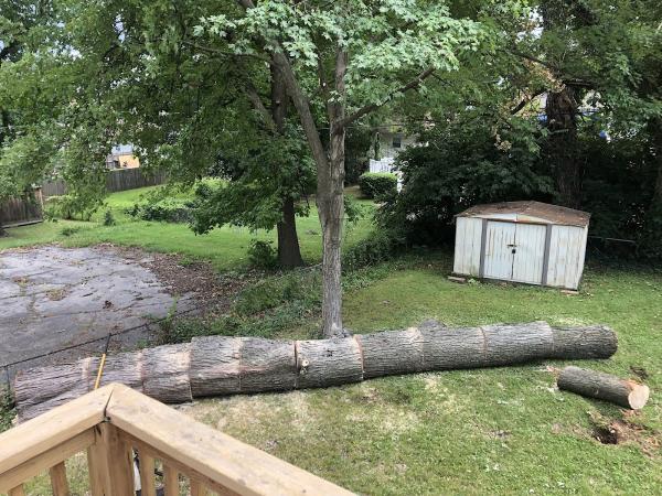 Proman Tree Services