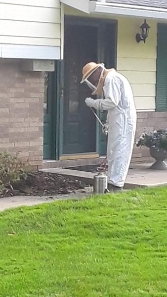 Progressive Pest Control
