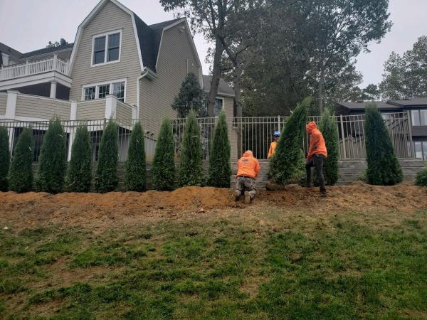 Fritz's Tree Service