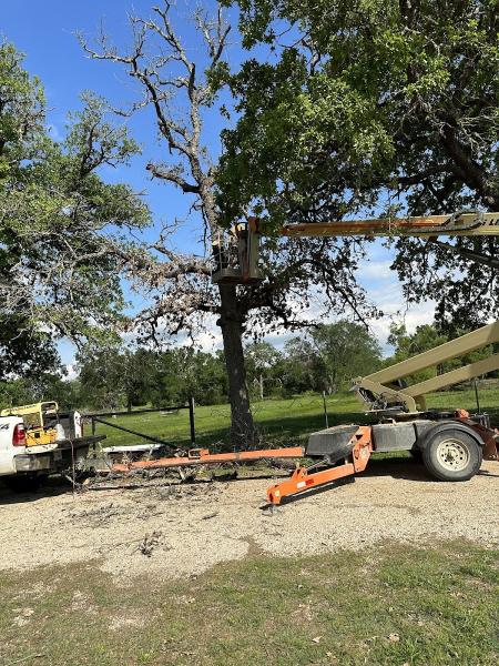 Lawson's Tree Service & Landscaping