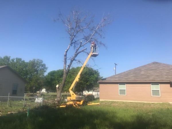 Lawson's Tree Service & Landscaping