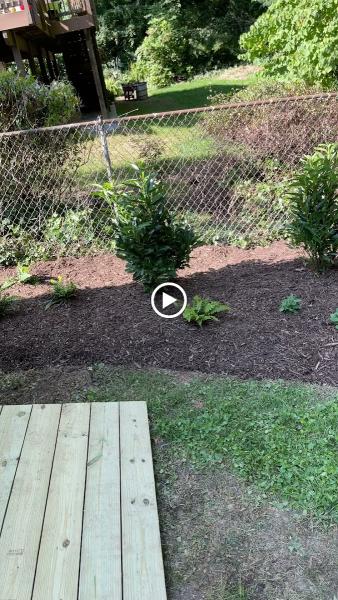 Edwin Lawn & Landscaping