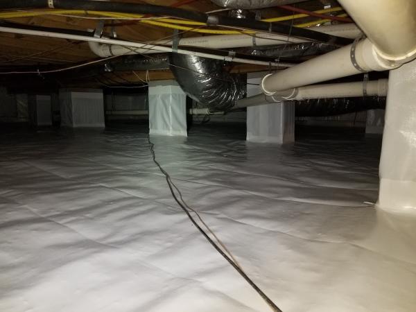 Green Frog Waterproofing