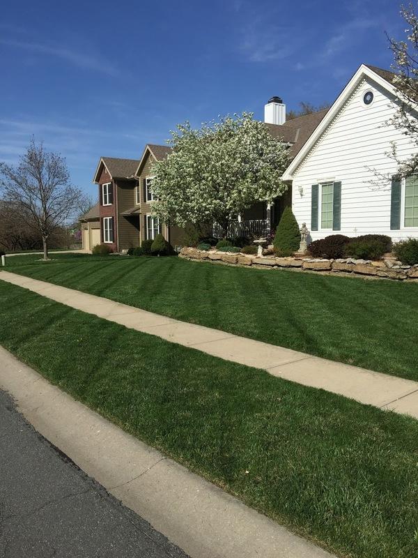 Stadium Lawns