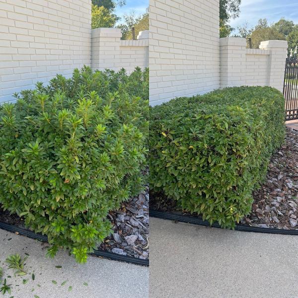 Residential Lawn Pros