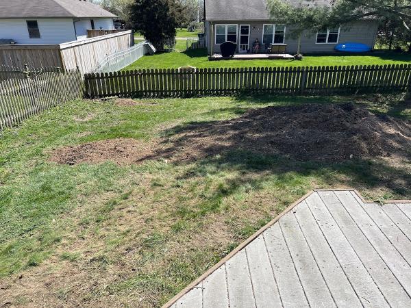 Complete Tree Care