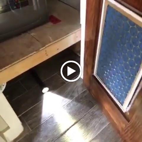 Safehome Inspections