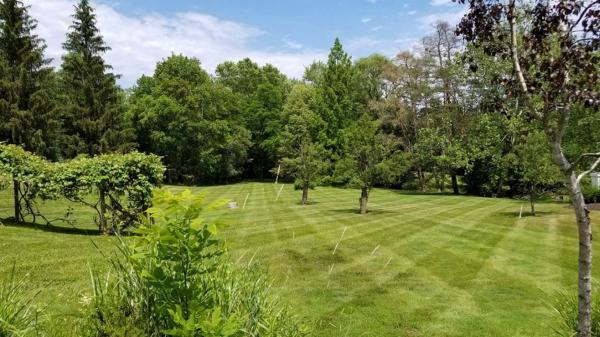 Michigan Lawn Pros