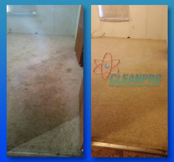 All Star Carpet Cleaners