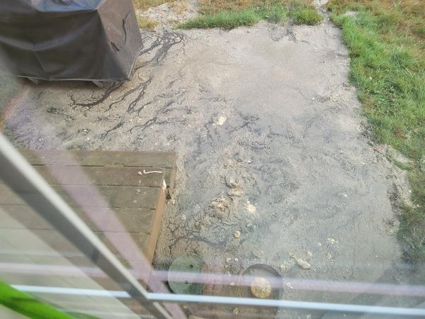 Septic Plus Inc