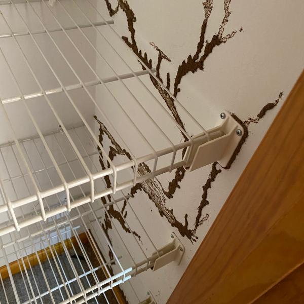 ACL Home Inspections