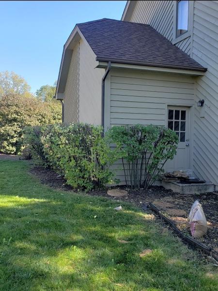 Tenos Maintenance & Landscaping
