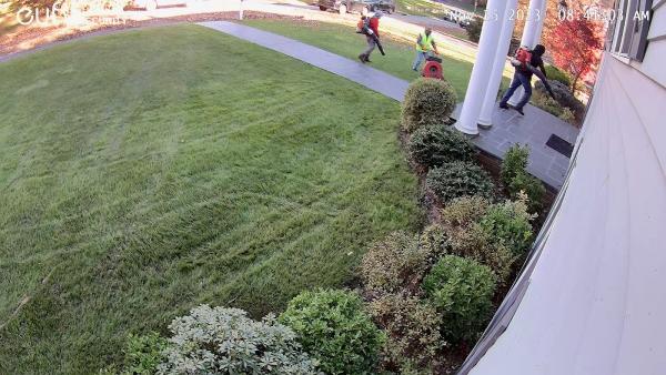 CTM Center Landscaping