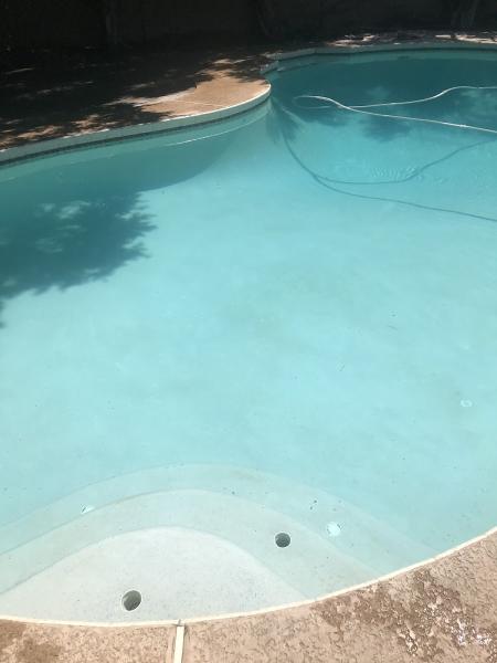 Wicked Clean Pool Service