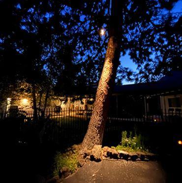 Tim Henson's Unique Landscaping