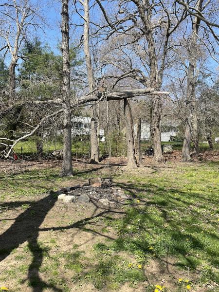 Lazer Scapes Tree Service