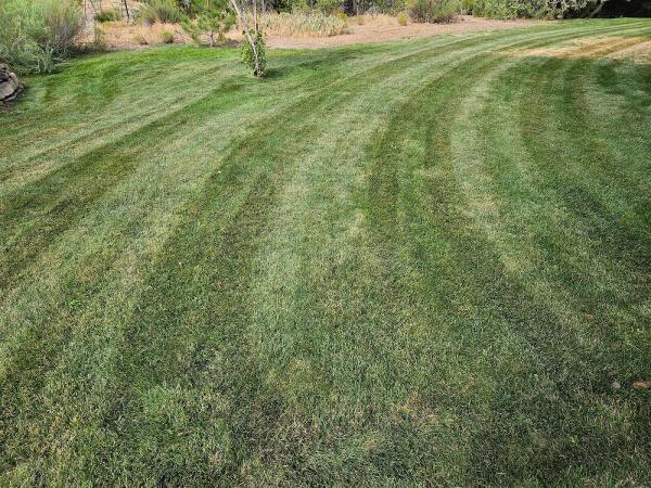 Mesa Mowers