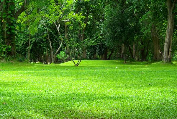 Southern Style Lawn Service