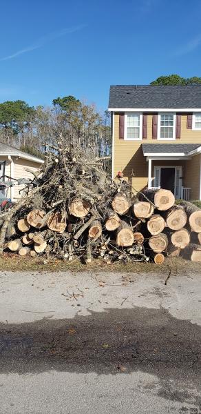 Skyfrog Tree Service