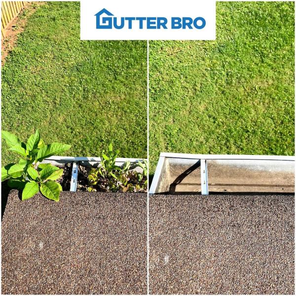 Gutter Bro