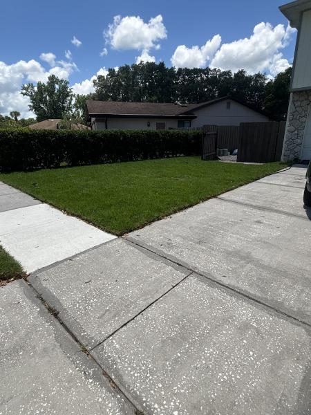 Homegrown Lawn Service